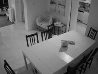 voyeurcam-julmodels-dining