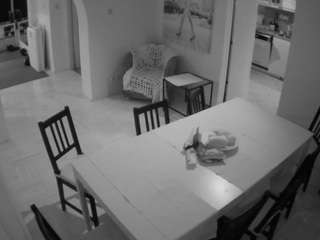 voyeurcam-julmodels-dining