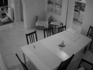 voyeurcam-julmodels-dining