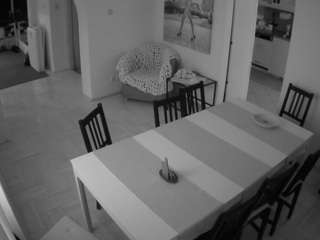 voyeurcam-julmodels-dining