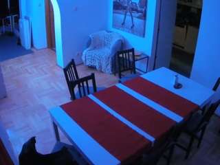 voyeurcam-julmodels-dining Sex Cam Show