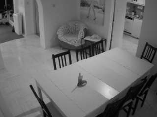 voyeurcam-julmodels-dining