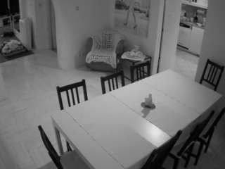 voyeurcam-julmodels-dining