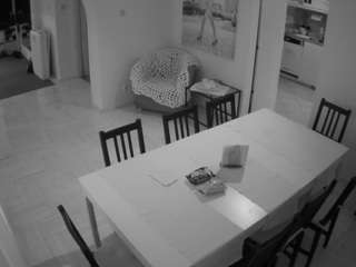 voyeurcam-julmodels-dining