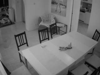 voyeurcam-julmodels-dining