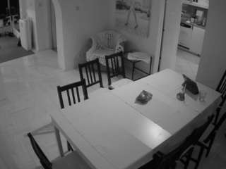 voyeurcam-julmodels-dining