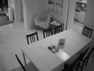 voyeurcam-julmodels-dining