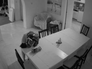 voyeurcam-julmodels-dining live webcam show