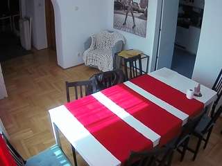 Julmodels Dining Room live webcam show