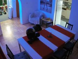 voyeurcam-julmodels-dining
