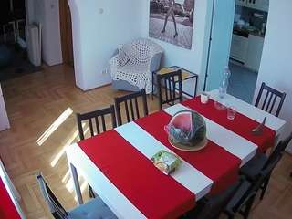 Julmodels Dining Room live webcam show