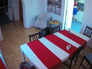 Julmodels Dining Room live webcam show