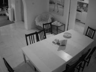 Julmodels Dining Room live webcam show