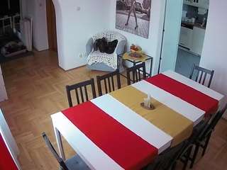 Julmodels Dining Room live webcam show