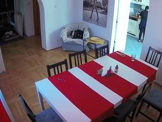 Julmodels Dining Room live webcam show