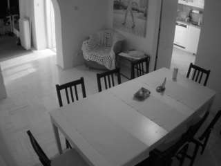 Julmodels Dining Room live webcam show