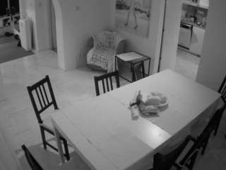 voyeurcam-julmodels-dining