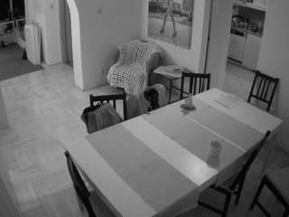 voyeurcam-julmodels-dining