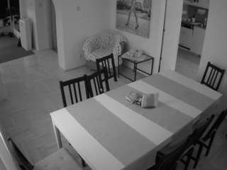 voyeurcam-julmodels-dining