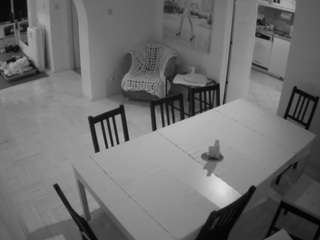 voyeurcam-julmodels-dining