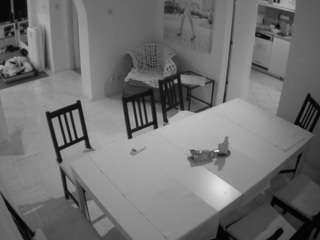 voyeurcam-julmodels-dining