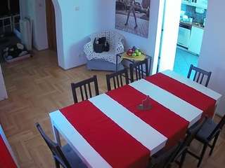 voyeurcam-julmodels-dining
