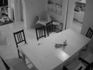 voyeurcam-julmodels-dining