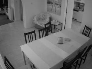 voyeurcam-julmodels-dining