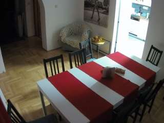 voyeurcam-julmodels-dining
