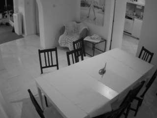 voyeurcam-julmodels-dining