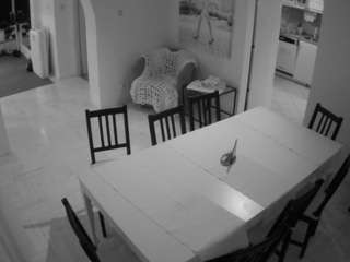 voyeurcam-julmodels-dining