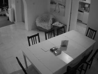 voyeurcam-julmodels-dining