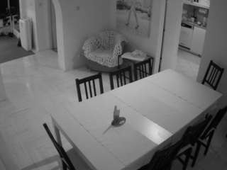 voyeurcam-julmodels-dining