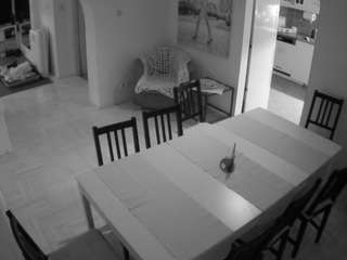 voyeurcam-julmodels-dining