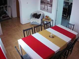 voyeurcam-julmodels-dining