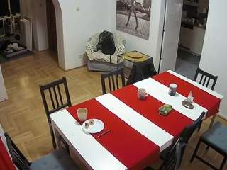 voyeurcam-julmodels-dining