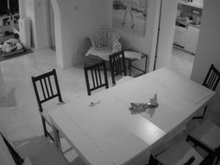 voyeurcam-julmodels-dining