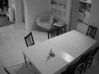 voyeurcam-julmodels-dining