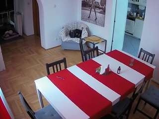 voyeurcam-julmodels-dining