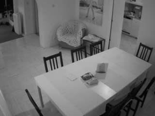 voyeurcam-julmodels-dining