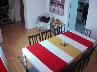 voyeurcam-julmodels-dining