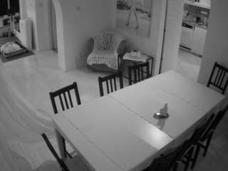 voyeurcam-julmodels-dining