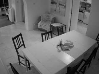 voyeurcam-julmodels-dining