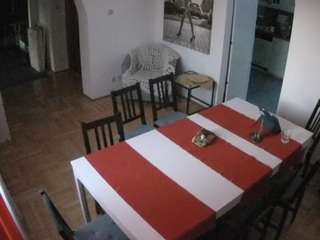 voyeurcam-julmodels-dining