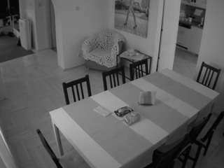 voyeurcam-julmodels-dining