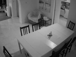 voyeurcam-julmodels-dining