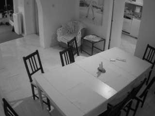 voyeurcam-julmodels-dining