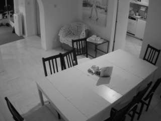 voyeurcam-julmodels-dining