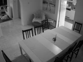 voyeurcam-julmodels-dining