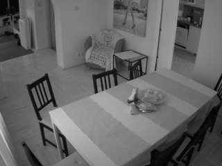 voyeurcam-julmodels-dining